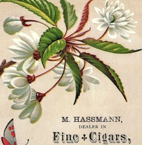 1880's M. Hassmann Cigars, Tobacco, Snuff, Pipes Victorian Trade Card P25