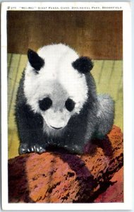 Postcard - Mei-Mei Giant Panda, Chgo. Zoological Park - Brookfield, Illinois