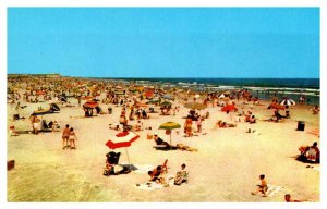 Postcard BEACH SCENE Wildwood New Jersey NJ AR3169