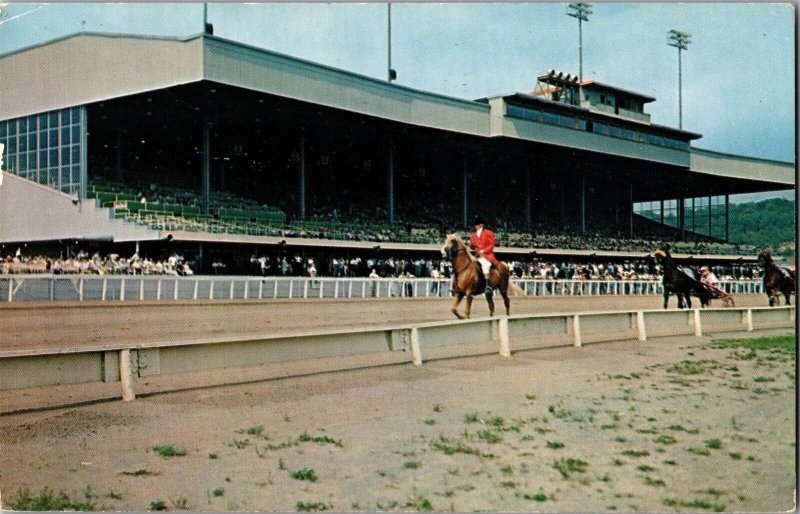 Grandstand Harness Racing Track Monticello Raceway NY c1961 Vintage Postcard J52