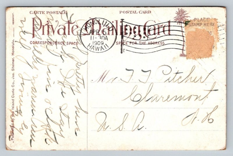 1909  Nuuanu Avenue   Honolulu  Hawaii  Postcard