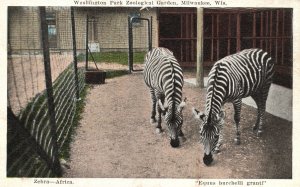 Vintage Postcard Washington Park Zoological Garden Zebra Milwaukee Wisconsin WI