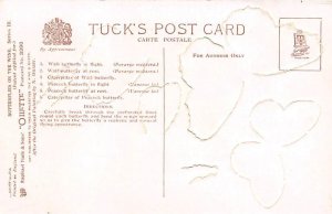 Butterflies Butterflies