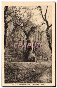 Old Postcard Tree Sainte Baume The large oak