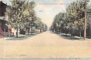 ELKHART IN SECOND STREET LOOKING NORTH POSTCARD c1908