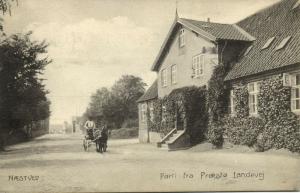 denmark, NÆSTVED, Parti fra Præstø Landevej (1907) Horse Cart