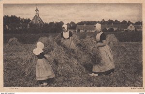 WALCHEREN, Zeeland, Netherlands; women in field, 00-10s