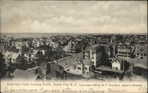 Ocean City New Jersey NJ Bird's Eye View c1910 Vintage Postcard