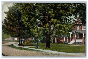 Brampton Ontario Canada Postcard The Crescent c1910 Unposted Antique