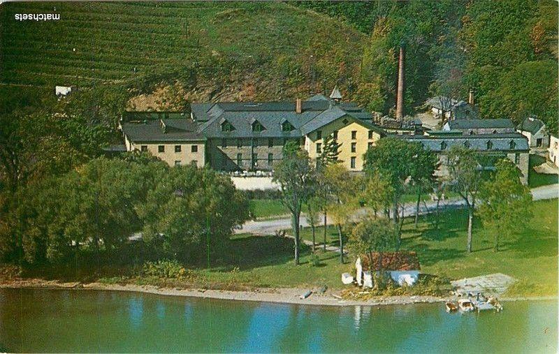 1950s Hammonds Port New York Gold Seal Vineyards Scott Studios postcard 9921