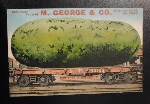 Mint USA Advertising Postcard M George and Co Chicago IL Watermelon Produce