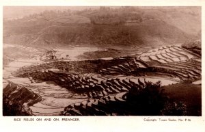 Indonesia Rice Fields On And On Preanger Vintage RPPC 09.84