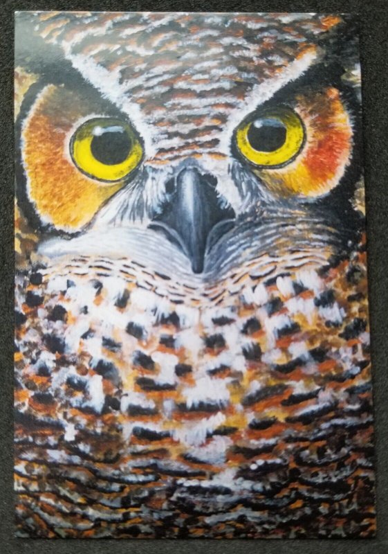 [AG] P96 Malaysia Bird Of Prey Owl Bird Wildlife Painting (postcard) *New