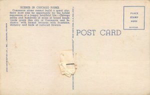 United States scenes in Chicago Park multi views linen postcard