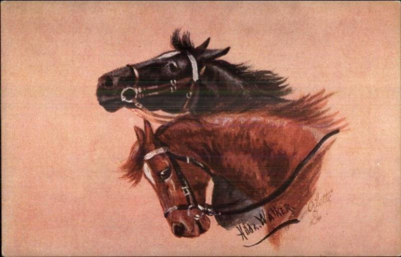 Horse Heads by Hilda Walker - TUCK Oilette #9692 c1910 Postcard 