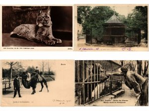 ANIMALS ANIMAUX MIX 300 CPA Pre - 1940