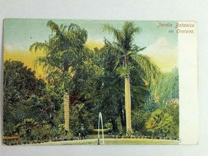 Vintage Postcard 1900's Jardin Botanico en Orotava Spain
