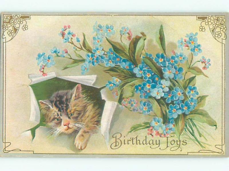 Divided-Back CUTE CAT SCENE Great Postcard AA9463