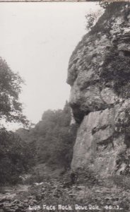 Lion Face Rock Dove Dale Derbyshire 1960s Real Photo Postcard