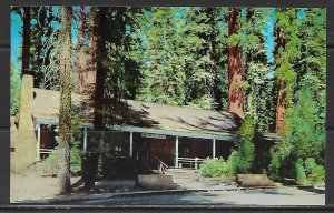 California, Yosemite National Park - Big Trees Lodge - [CA-413]