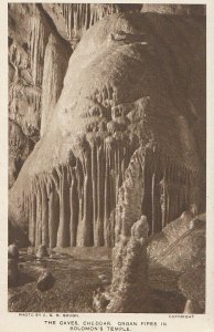 Somerset Postcard - The Caves - Cheddar - Organ Pipes in Solomon's Temple   2997