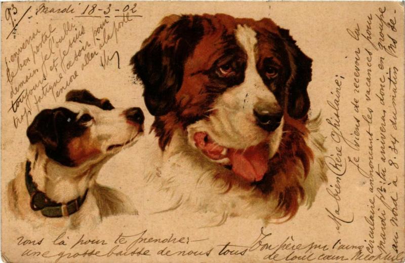 CPA AK St.Bernard & Jack Russel DOGS (746000)