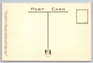 Beautiful Homes, Tree Lined Streets, Toronto Canada, Vintage Postcard