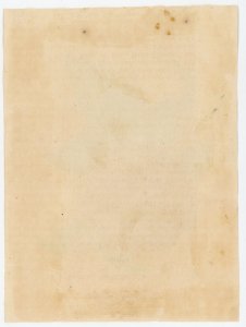 1830-50s T Bonar Hand Colored Camelia Print #KT