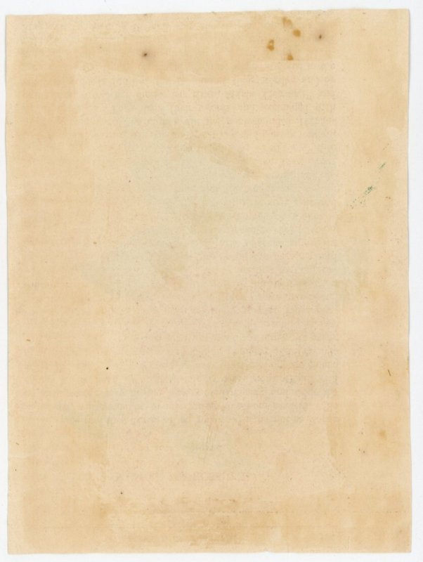 1830-50s T Bonar Hand Colored Camelia Print #KT