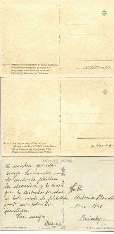 Beautiful flowers Lor of nineteen (29) old vintage PC. Early 20th century