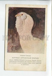 3160641 HEN chicken breeds Orloff White by YAGUZHINSKY Vintage