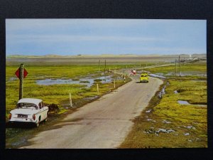 Northumberland Lindisfarne HOLY ISLAND The Tidal Road c1950s Postcard