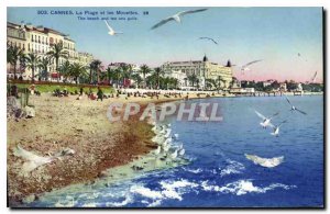 Old Postcard Cannes Beach and Gulls