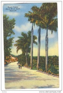 Royal Palms, South Shore Road, Bermuda,  40-60s