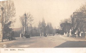 Lot336 roma picio italy real photo