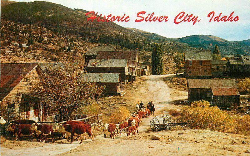 Cattle Roam Cowboys 1950s Silver City Idaho Northwest Curio postcard 6038