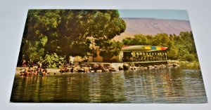 Ein Gev Sea of Galilee Gershon's Inn Fish Tavern Israel Postcard Palphot 5586