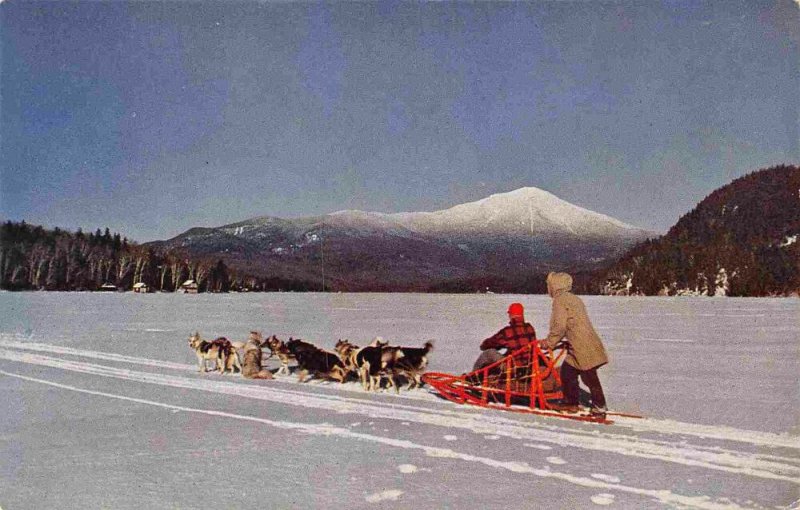 Dog Sled Team Lake Placid White Face Mountain New York postcard