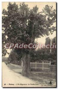 Old Postcard Poissy Island Migneaux La Vieille Tour