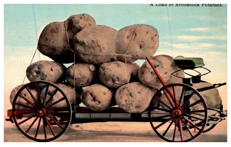 Exzaggeration GIANT AROOSTOCK POTATOES