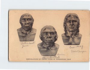 Postcard Restorations Of Prehistoric Man Field Museum Of Natural History IL USA