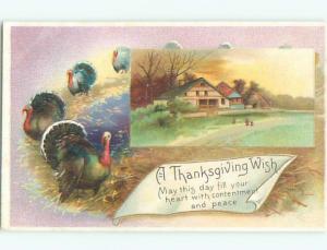 Divided-Back THANKSGIVING SCENE Great Postcard AA0524