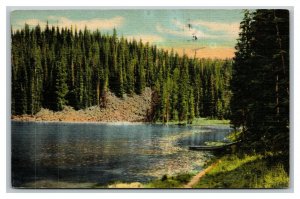 Vintage 1954 Postcard Beaver Lake Grand Mesa National Forest Western Colorado