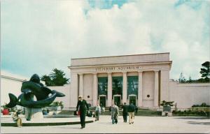 Steinhart Aquarium San Francisco CA California Navy Sailor UNUSED Postcard D98