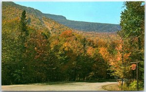 Postcard - Mount Mansfield Forest Park - Stowe, Vermont