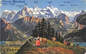 br104061 berner oberland   switzerland cows