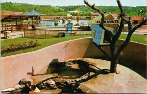 Storyland Valley Edmonton AB Raccoon Clubhouse Vintage Postcard H1