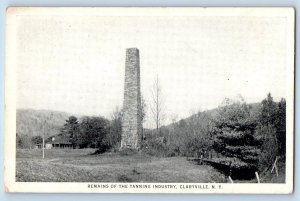 Claryville New York NY Postcard Remains Tanning Industry c1920 Vintage Antique