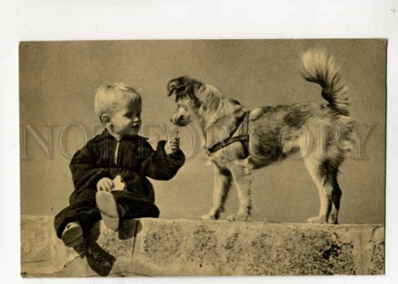 3096467 CIRCUS Boy playing w/ Dog LAIKA old PHOTO PC