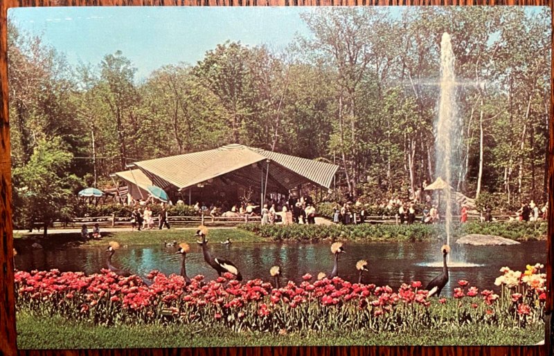 Vintage Postcard 1957 Sterling Forest Gardens Swan Lake & Patio, Tuxedo NY